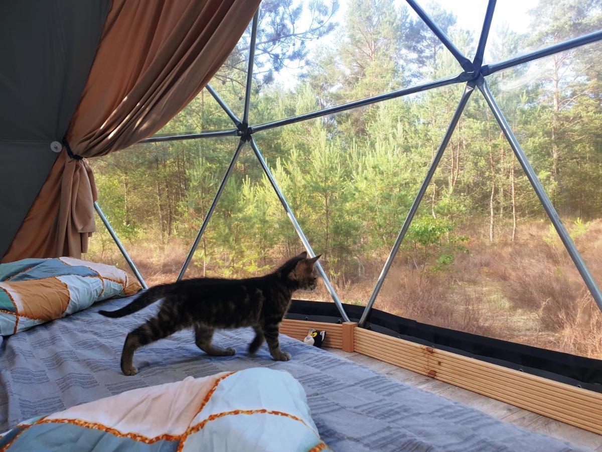 Podniebny Glamping Hotel Borsk Exterior photo